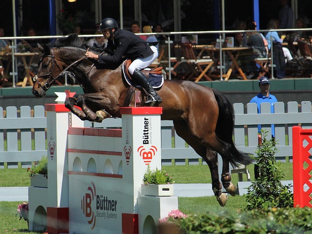 价值的信息 价值的信息