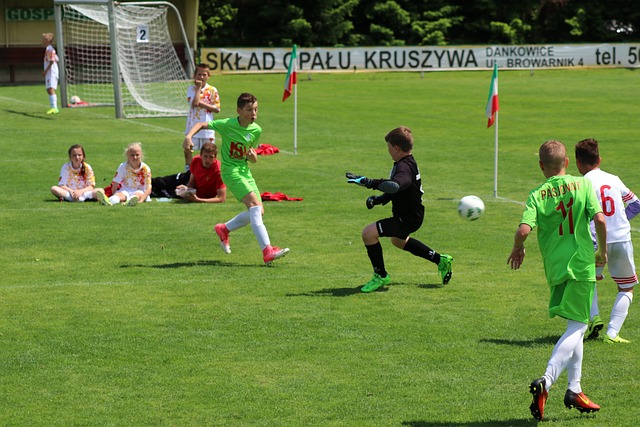 可能會導致 可能會導致