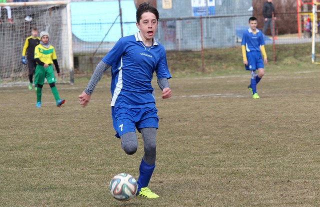 本赛季效力 本赛季效力