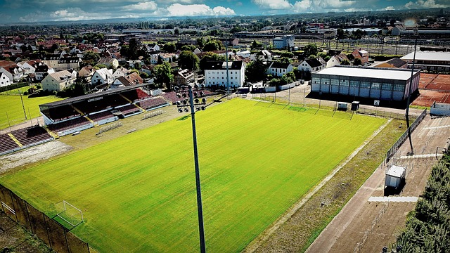 谁又将提前 谁又将提前