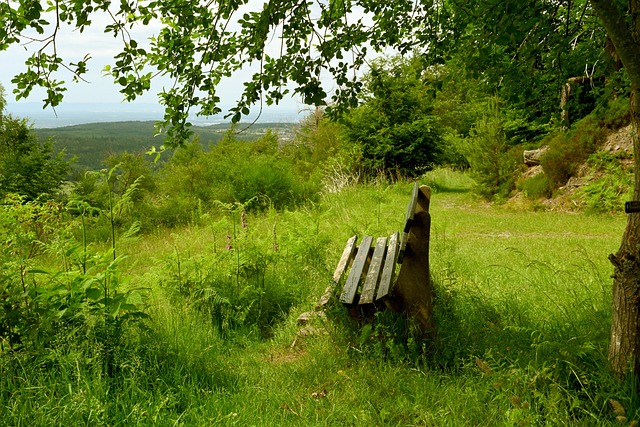 中为球队赢 中为球队赢