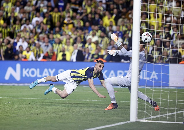 始引入像 始引入像