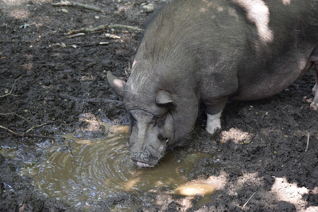 有报告显示 有报告显示